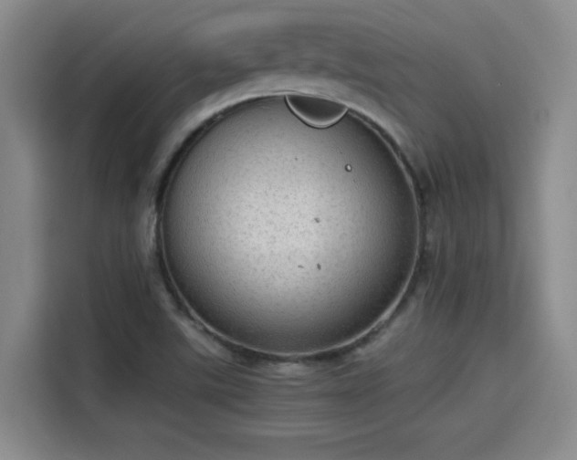 X0000115581507200911170959