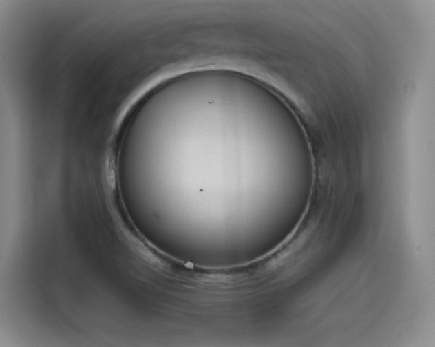 X0000115581510200911170959