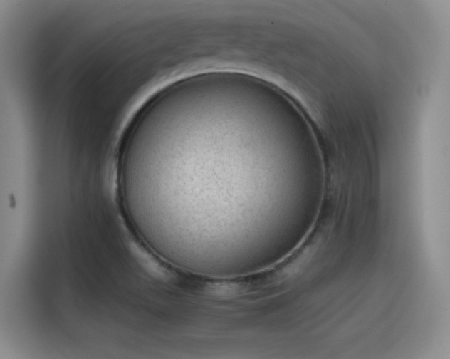 X0000115581511200911170959