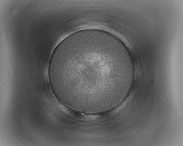 X0000115581513200911170959