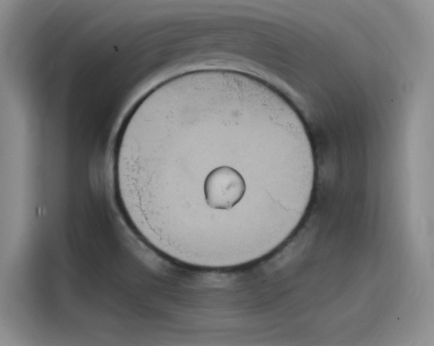 X0000115581514200911170959