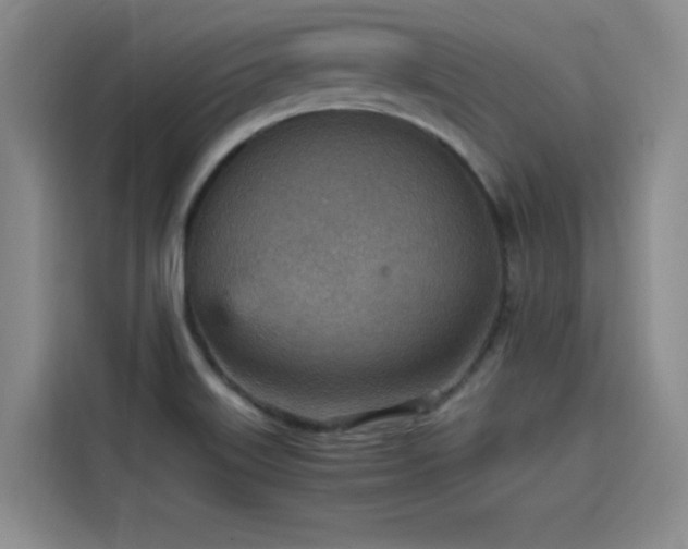 X0000115581515200911170959