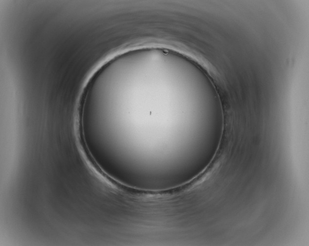 X0000115581518200911170959