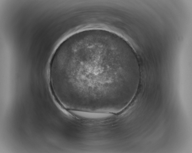 X0000115581519200911170959