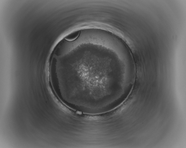 X0000115581522200911170959