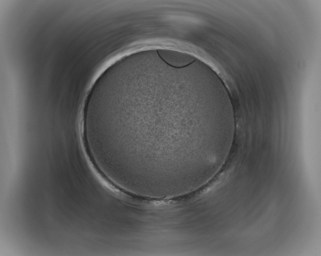 X0000115581523200911170959