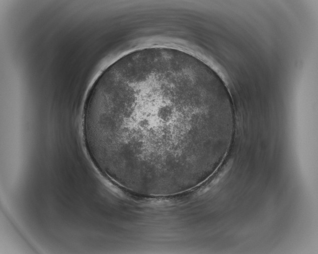 X0000115581525200911170959