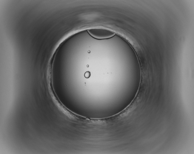 X0000115581526200911170959