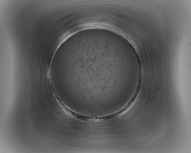 X0000115581529200911170959