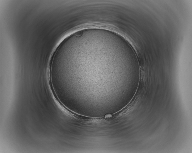 X0000115581531200911170959