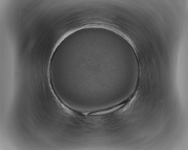 X0000115581533200911170959