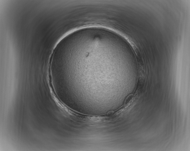 X0000115581534200911170959