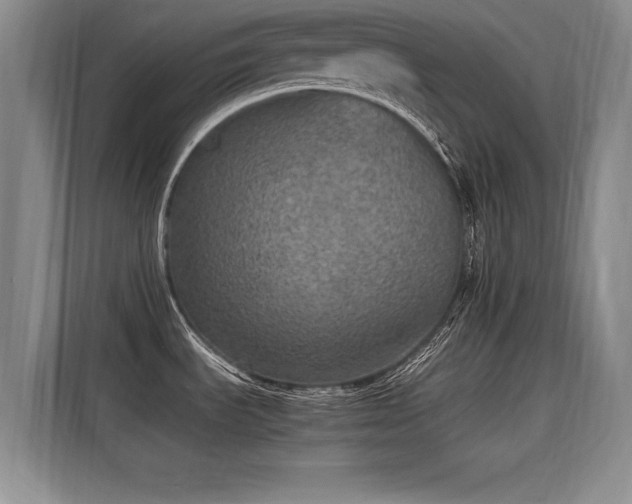 X0000115581535200911170959