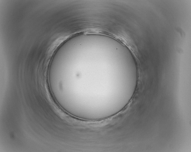 X0000115580001200911241522