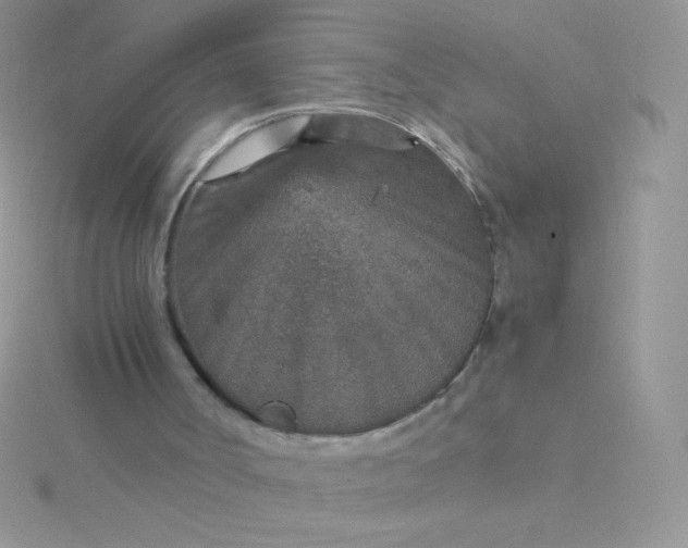 X0000115580002200911241522