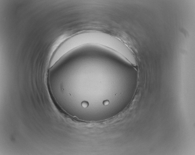 X0000115580003200911241522