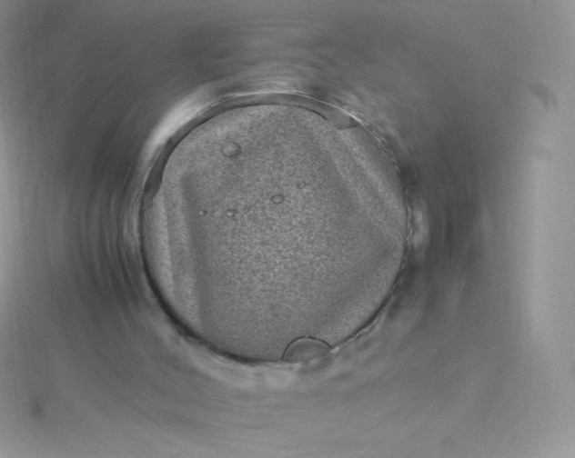 X0000115580004200911241522