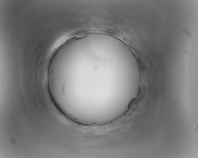 X0000115580005200911241522