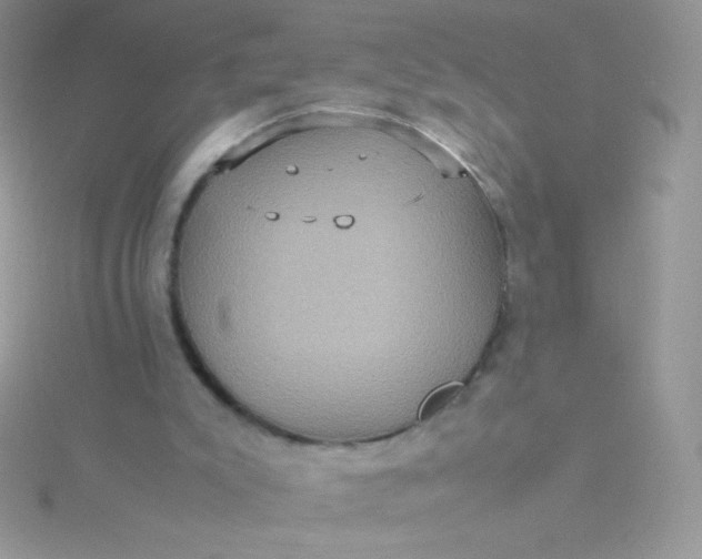 X0000115580007200911241522