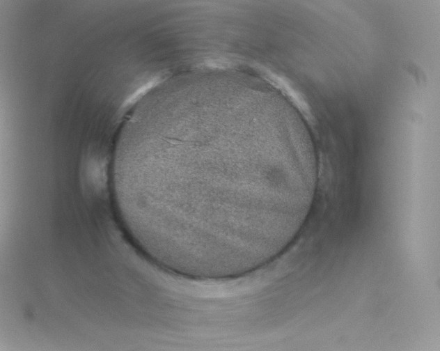 X0000115580010200911241522