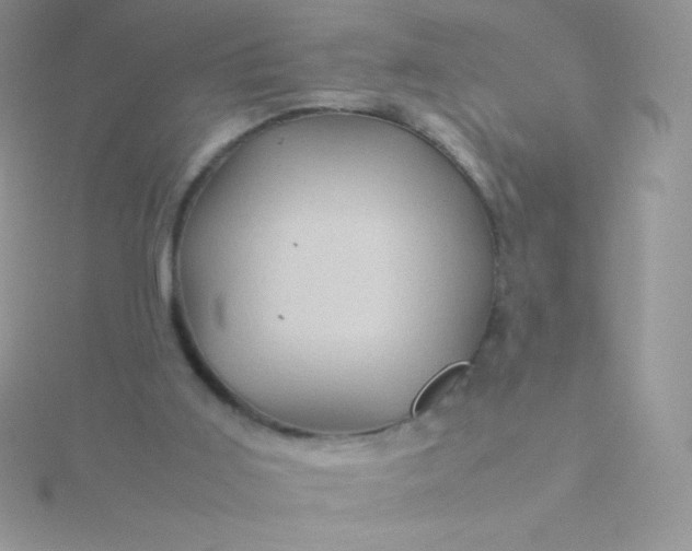 X0000115580011200911241522