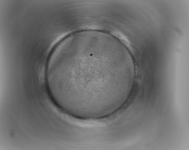 X0000115580012200911241522