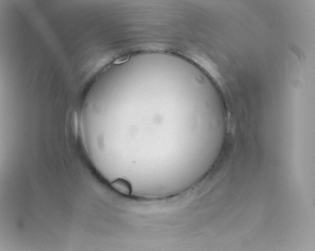 X0000115580013200911241522