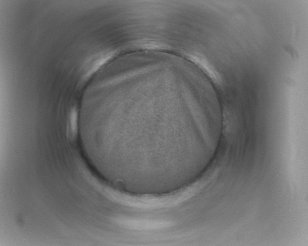 X0000115580014200911241522