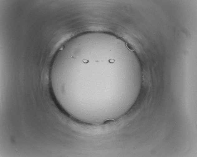 X0000115580015200911241522