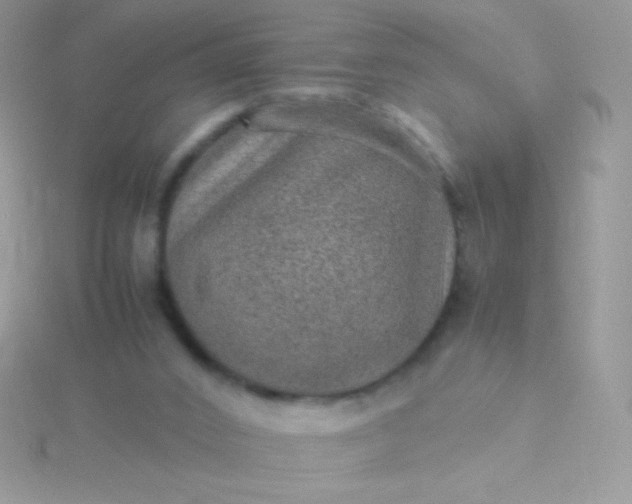 X0000115580016200911241522