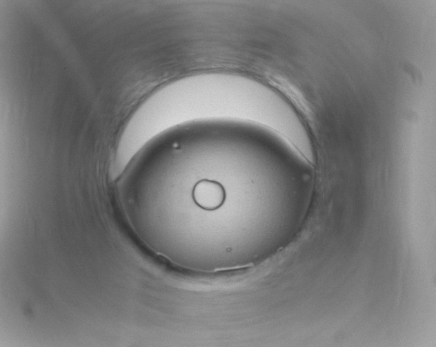 X0000115580017200911241522