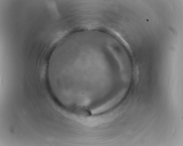 X0000115580018200911241522