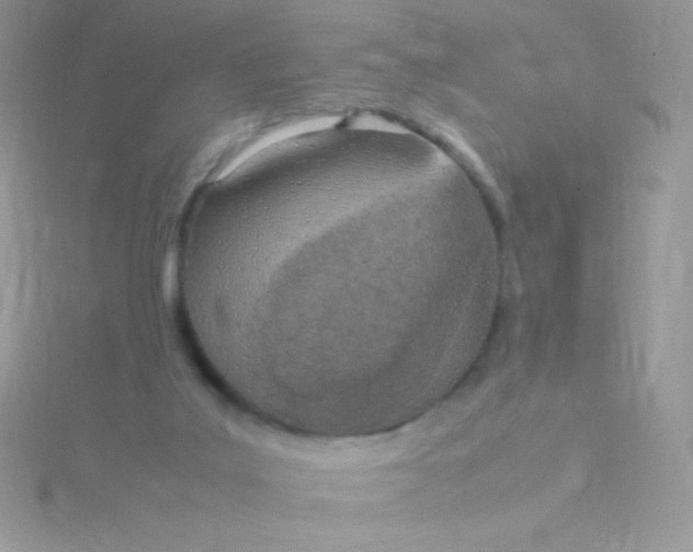 X0000115580019200911241522