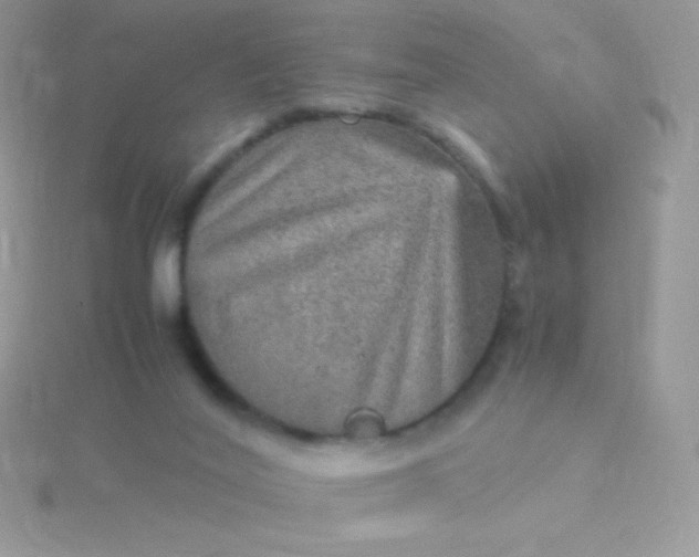 X0000115580020200911241522