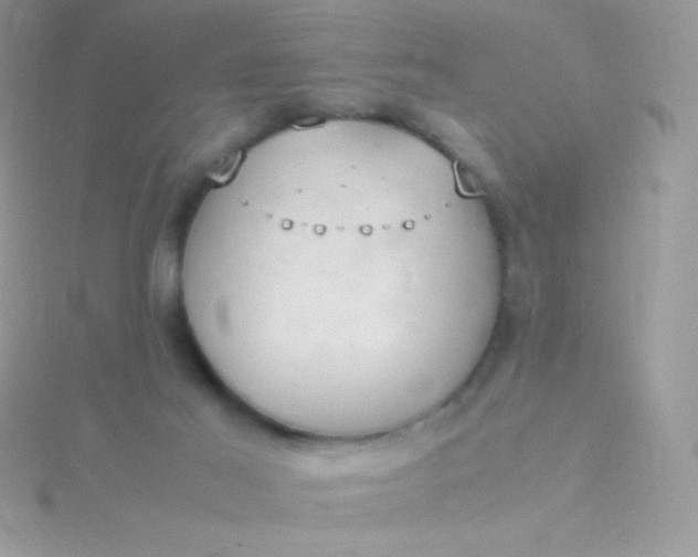 X0000115580021200911241522