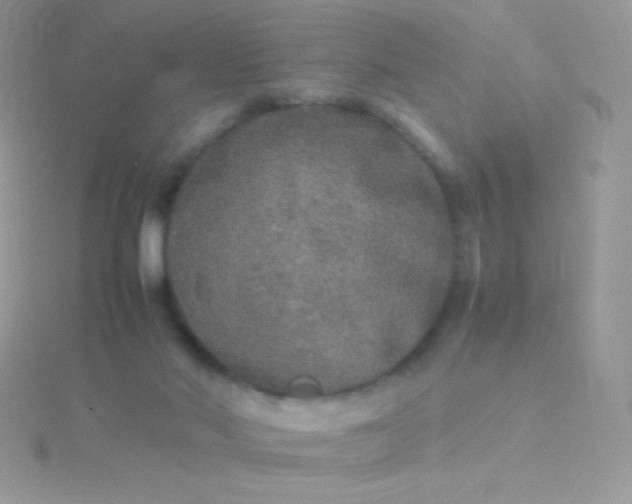 X0000115580022200911241522