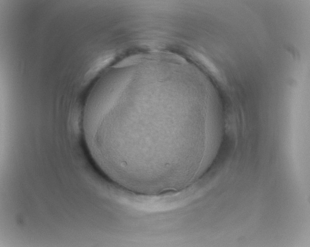 X0000115580023200911241522