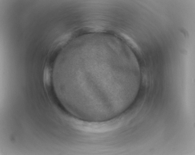 X0000115580026200911241522