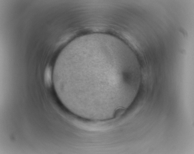 X0000115580028200911241522