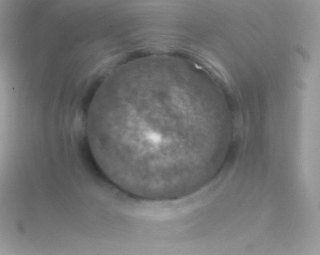 X0000115580029200911241522