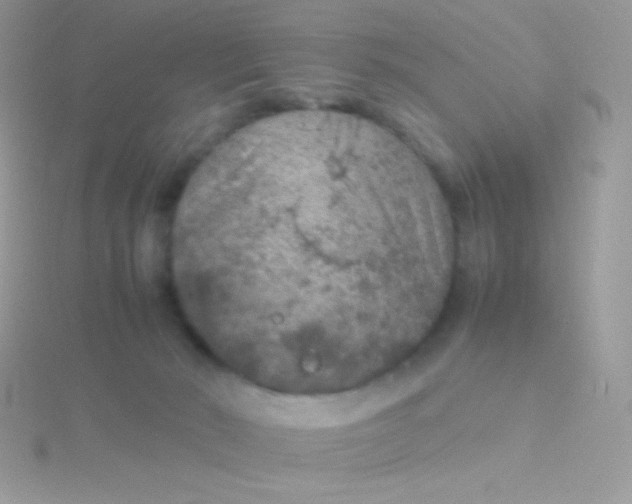 X0000115580030200911241522