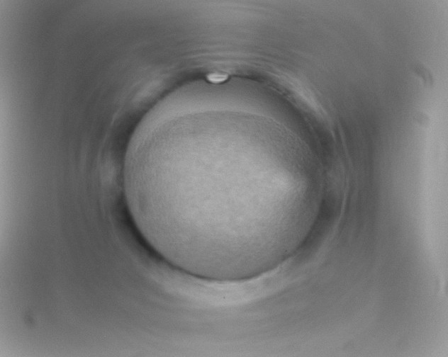 X0000115580031200911241522