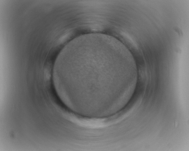 X0000115580032200911241522