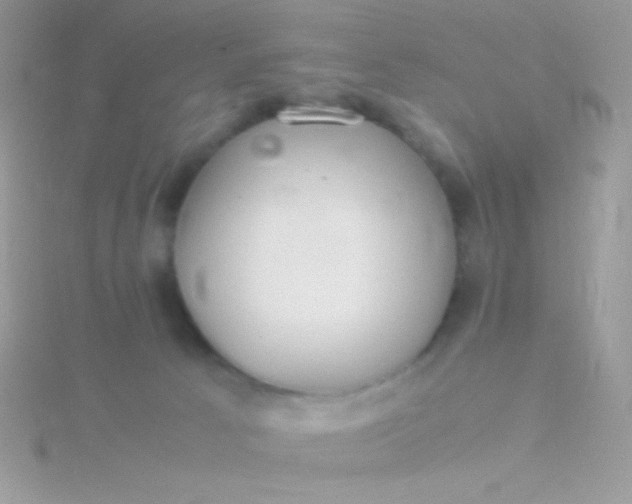 X0000115580033200911241522