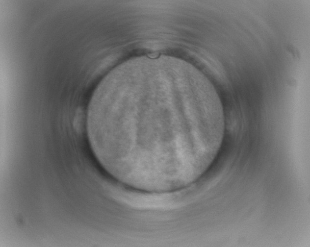 X0000115580036200911241522