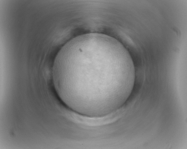 X0000115580039200911241522