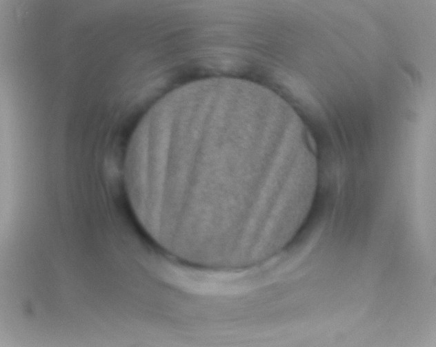 X0000115580040200911241522