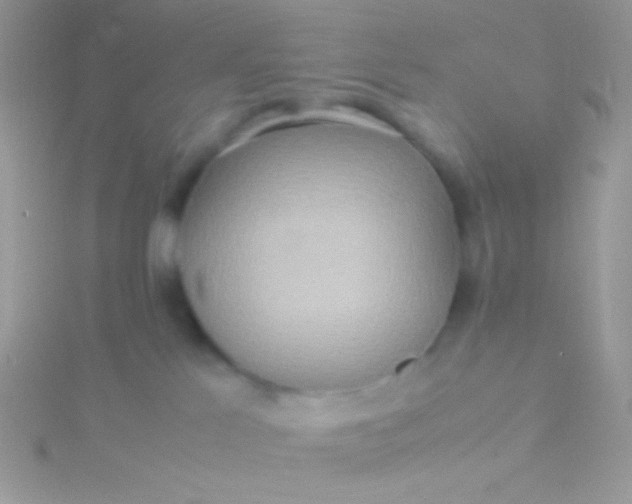 X0000115580041200911241522