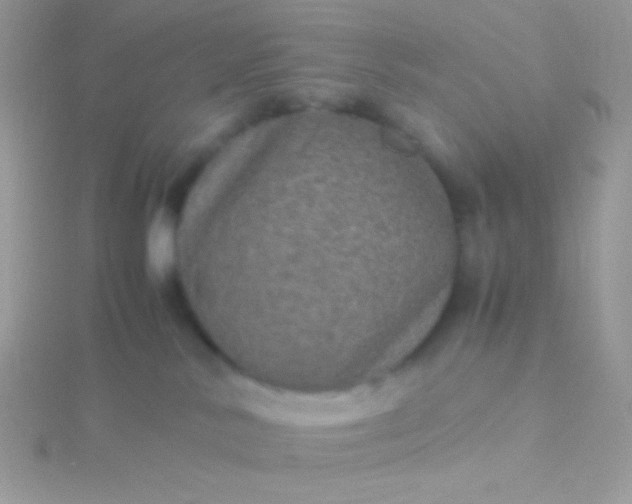 X0000115580042200911241522