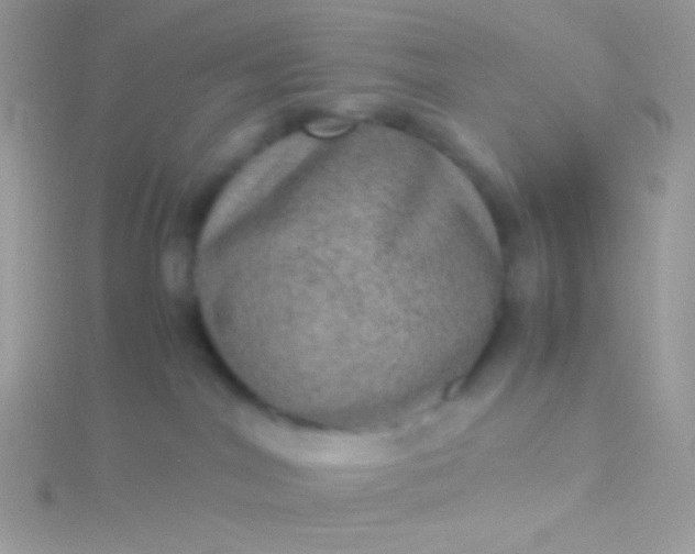 X0000115580044200911241522